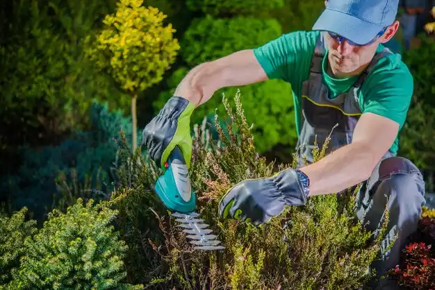 landscaping services Holt